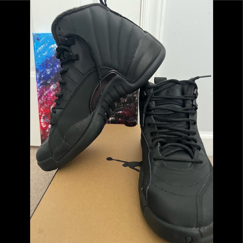 Air Jordan 12 Retro WNTR